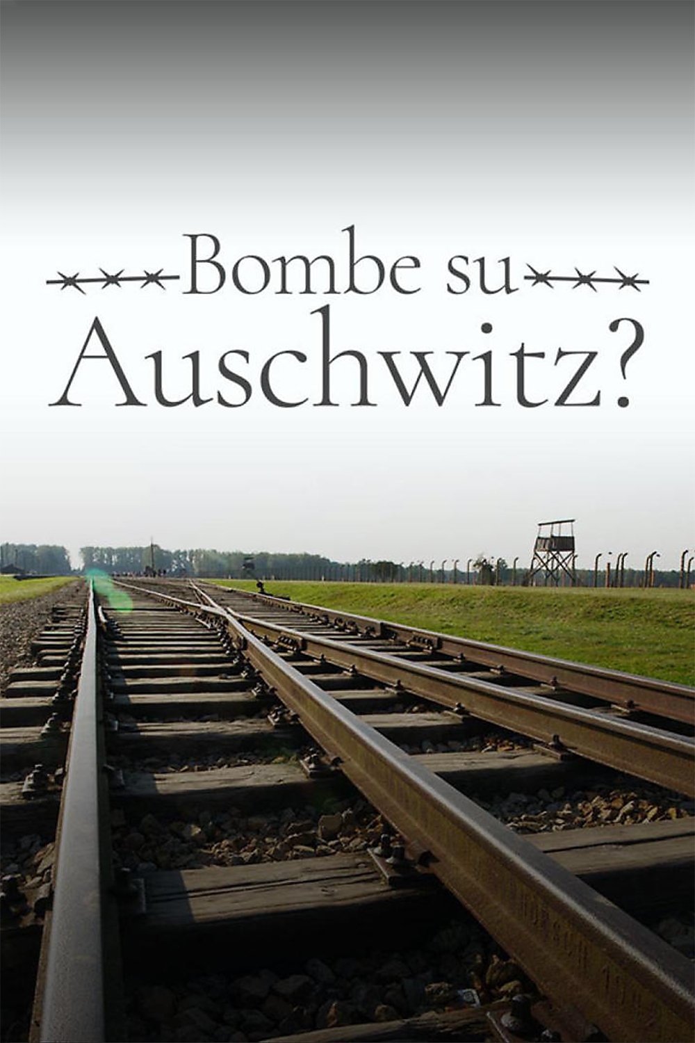 Постер Bombe su Auschwitz?